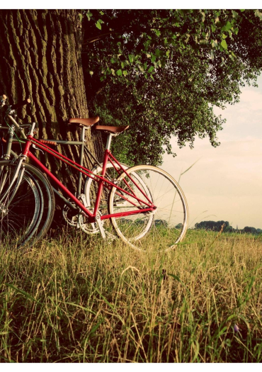 vélo nature duo