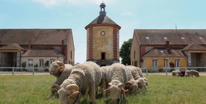 bergerie Rambouillet