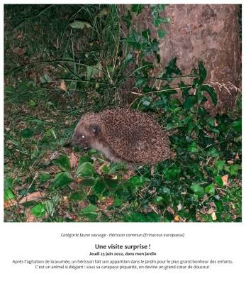 Une visite surprise!