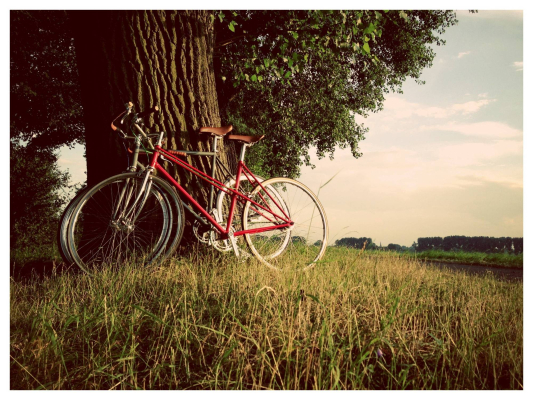 vélo nature duo