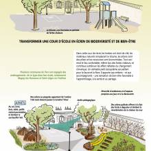 Végétalisation des cours d'école - Echo du Parc Mars/juin 2021