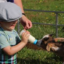 Une journée à la Ferme de Tiligolo, à Magny-les-Hameaux