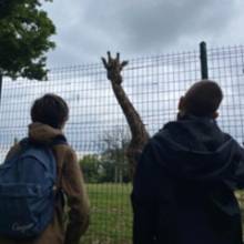 Zoo Attily