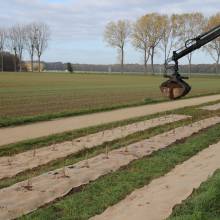 Plantation de fruitiers aux abords de la piste cyclable