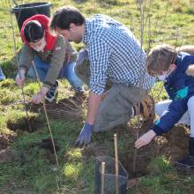 Passeport du civisme : plantation d'arbres fruitiers