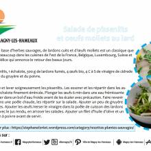 Salade de pissenlits et oeufs mollet au lard