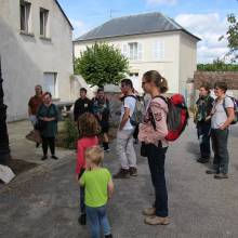 Formation sur les insectes pollinisateurs, amis de la biodiversité
