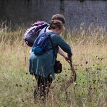 Formation sur les insectes pollinisateurs, amis de la biodiversité