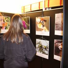 Vernissage du concours photos faune et flore locales