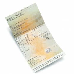 Carte grise