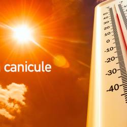 Plan canicule