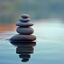 zeN 