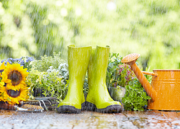 Jardinage