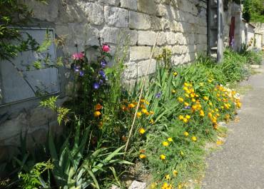 Trottoir fleuri