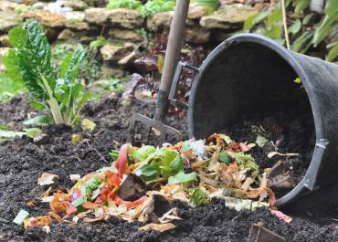 compost