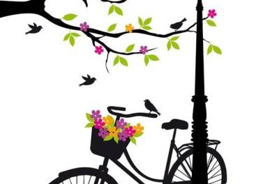 Promenade vélo