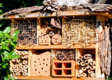 hotel à insectes