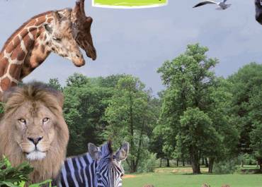 Zoo de Thoiry
