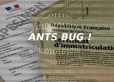 Bug ANTS