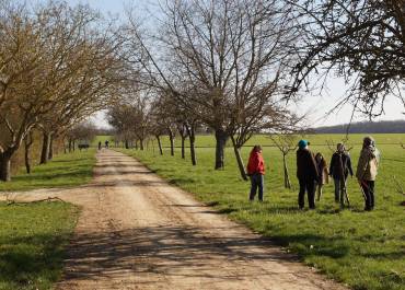 allée des pommiers