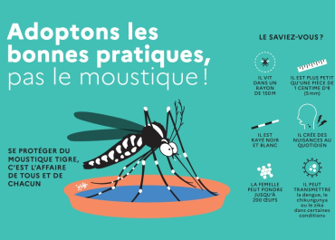 Bonnes pratiques contre le moustique