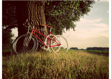 vélo nature duo