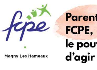 conseil local